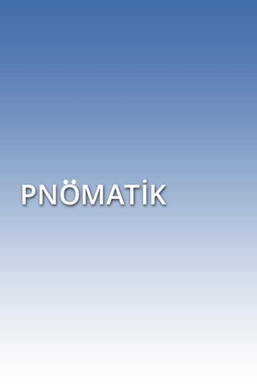 Freeway Pnömatik